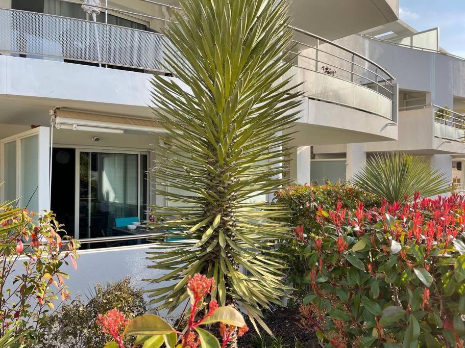 דירות בנדול 21 - Tres Agreable Rdc Avec Terrasse Et Parking מראה חיצוני תמונה